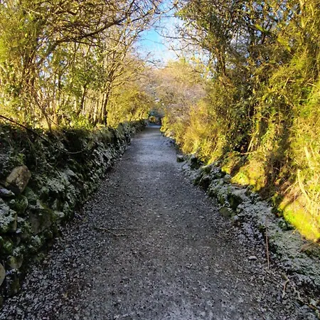 Деревянный коттедж Nadur Pods