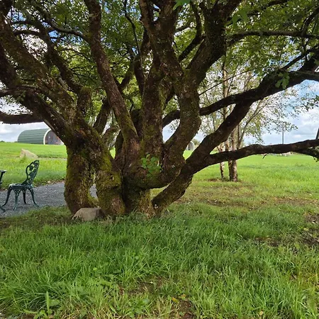 Nadur Pods Деревянный коттедж *