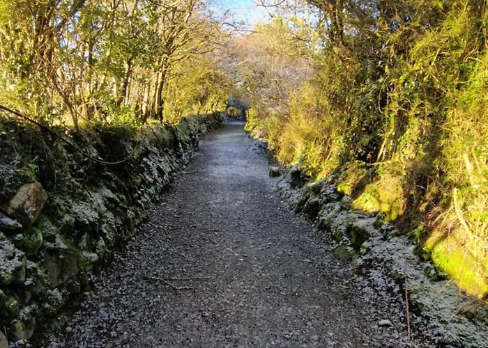 ロッジ Nadur Pods